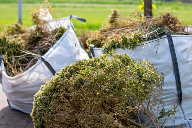 Professional Junk Removal Services in Shorewood, WI